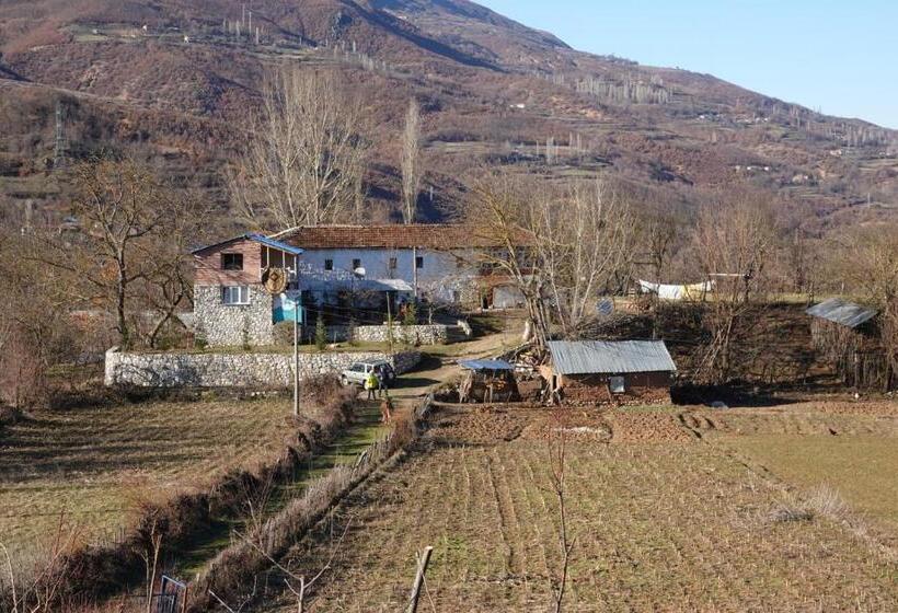 پانسیون Guesthouse Arber