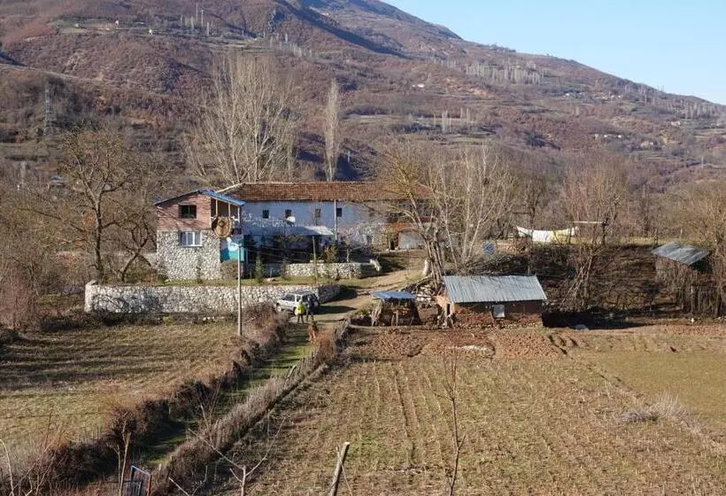 ペンション Guesthouse Arber