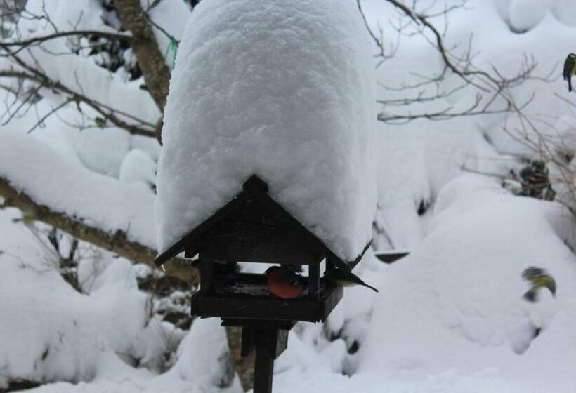 פנסיון šumavský Dům U čechů