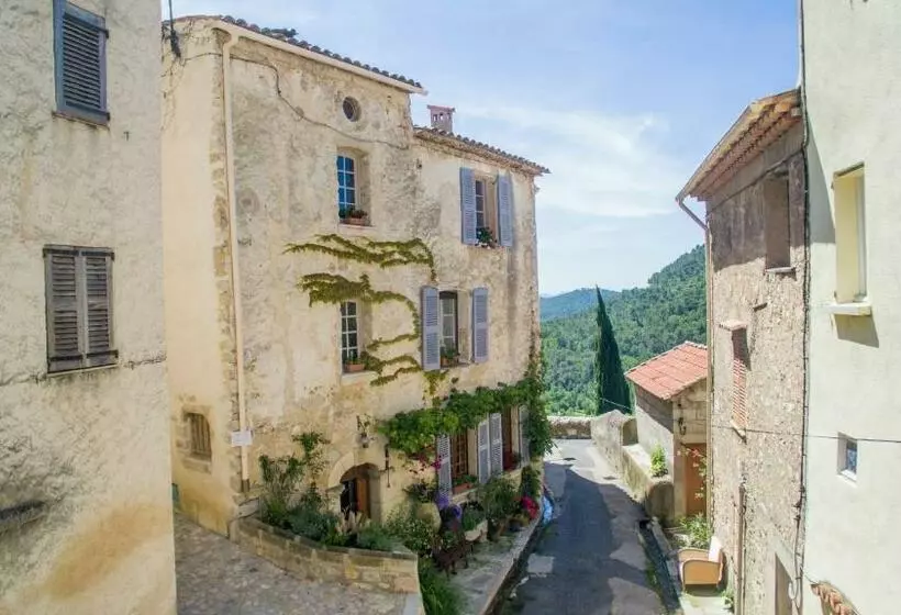 Muller S Bed & Breakfast