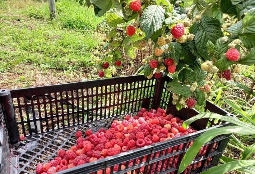 Hostel Pousada Ilhas Do Sol