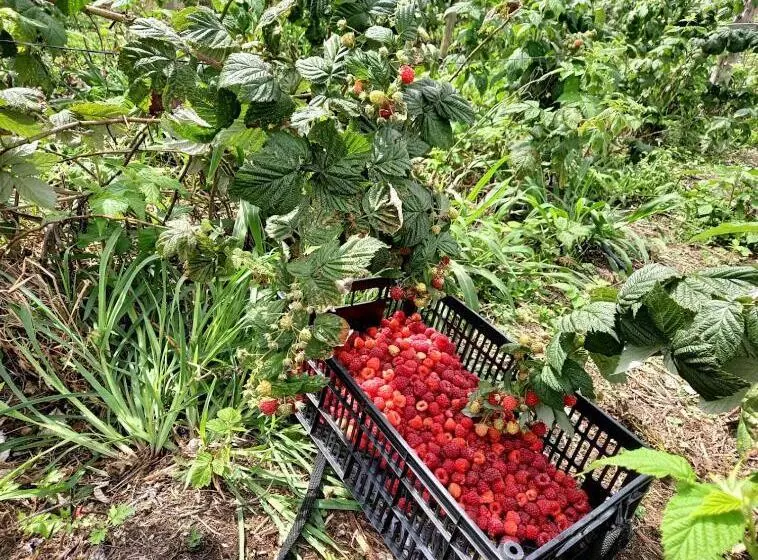 Retkeilymaja Pousada Ilhas Do Sol