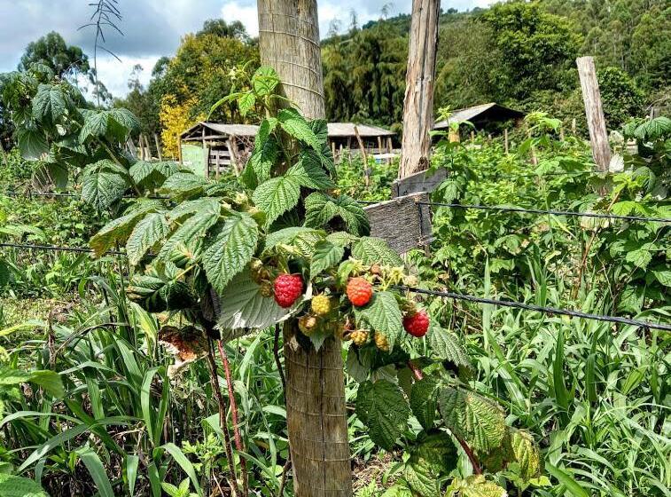 Hostel Pousada Ilhas Do Sol