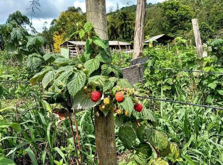 Retkeilymaja Pousada Ilhas Do Sol