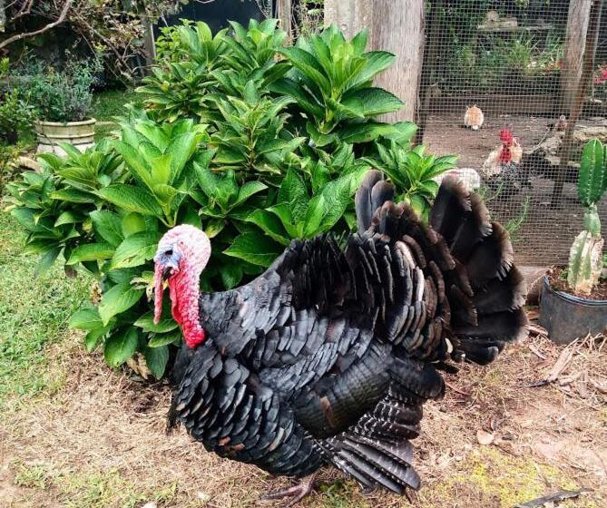 Hostel Pousada Ilhas Do Sol