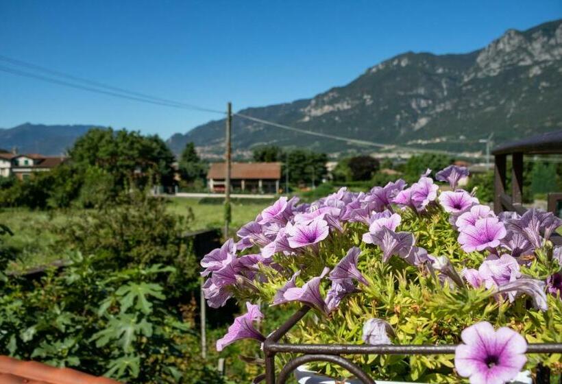 B&b Al Cortile Del Bertolet