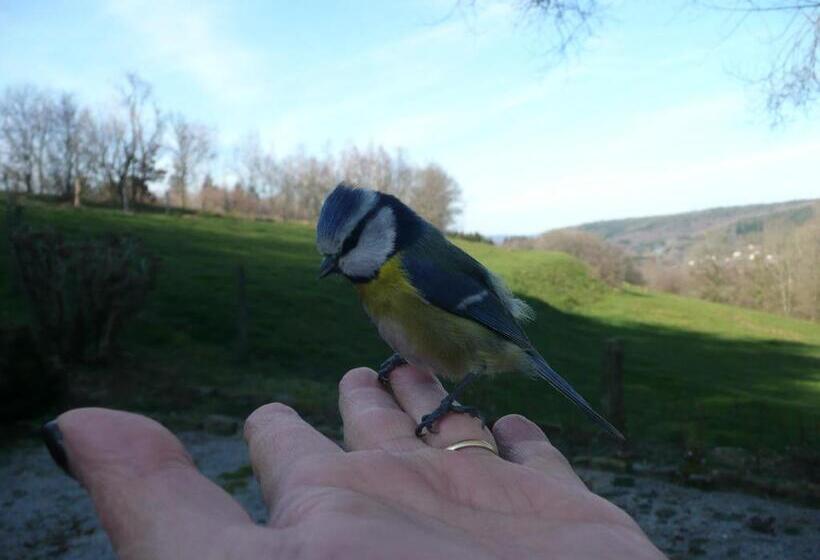 ベッドアンドブレックファースト Au Palton