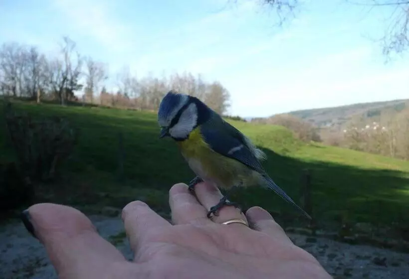 Aamiaismajoitus (B&B) Au Palton