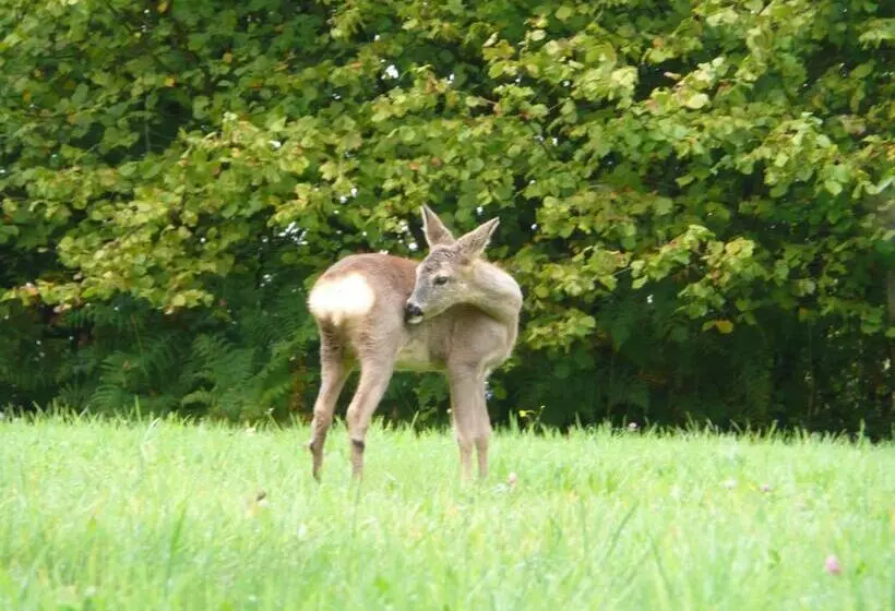 Aamiaismajoitus (B&B) Au Palton