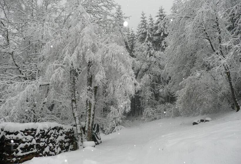 ベッドアンドブレックファースト Au Palton