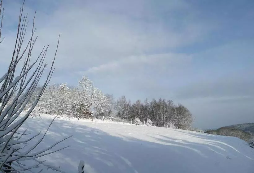 Aamiaismajoitus (B&B) Au Palton