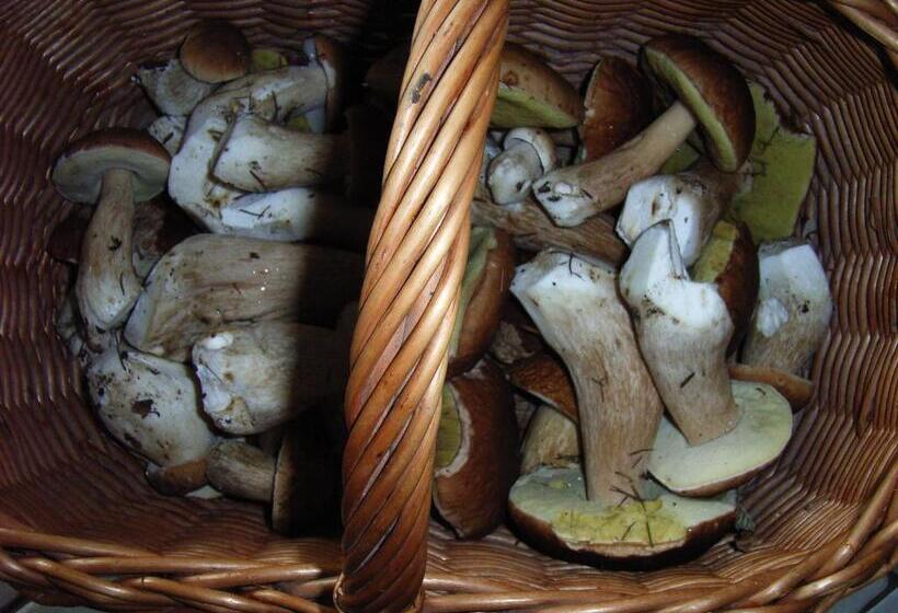 ベッドアンドブレックファースト Au Palton