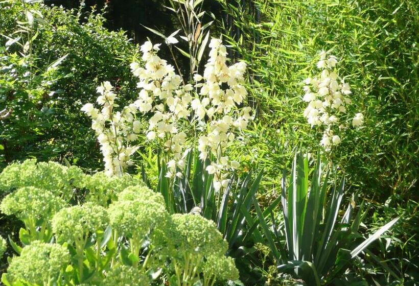 ベッドアンドブレックファースト Au Palton