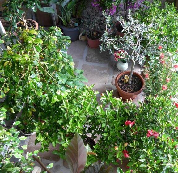 ベッドアンドブレックファースト Au Palton