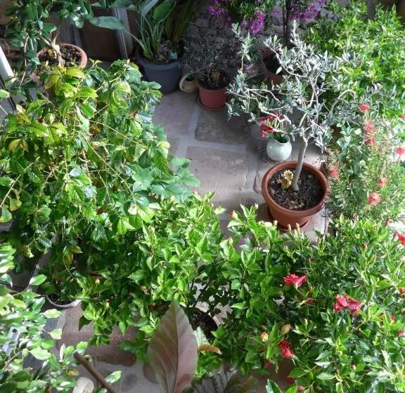 Aamiaismajoitus (B&B) Au Palton