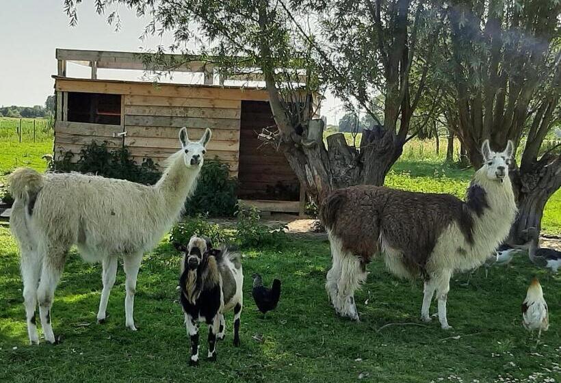 مبيت وإفطار Chambre D Hotes Le Pigeonnier