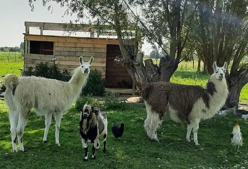 Aamiaismajoitus (B&B) Chambre D Hotes Le Pigeonnier