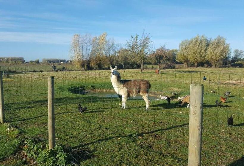 مبيت وإفطار Chambre D Hotes Le Pigeonnier