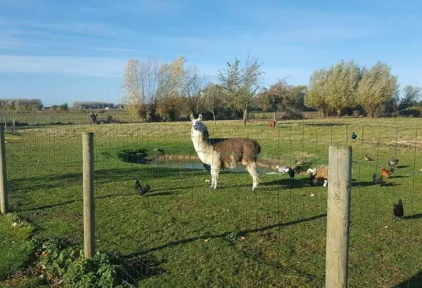 Aamiaismajoitus (B&B) Chambre D Hotes Le Pigeonnier