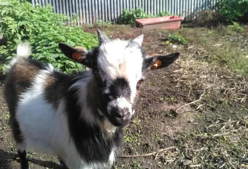 مبيت وإفطار Chambre D Hotes Le Pigeonnier