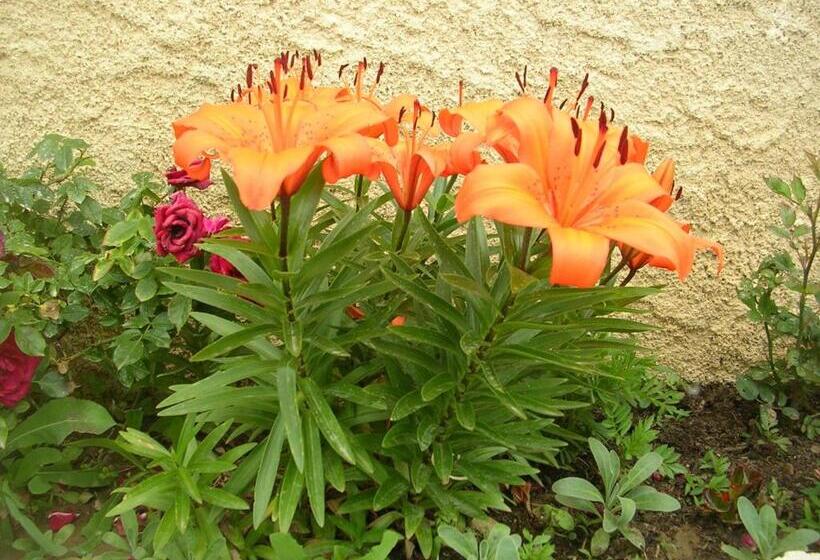 مبيت وإفطار Chambre D Hôtes Tardy