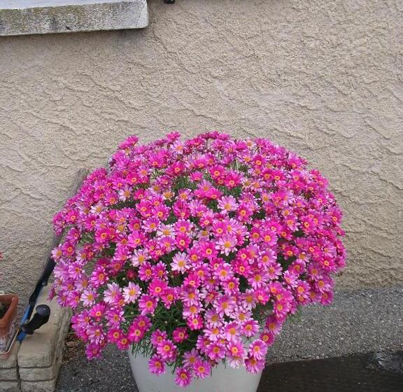 مبيت وإفطار Chambre D Hôtes Tardy