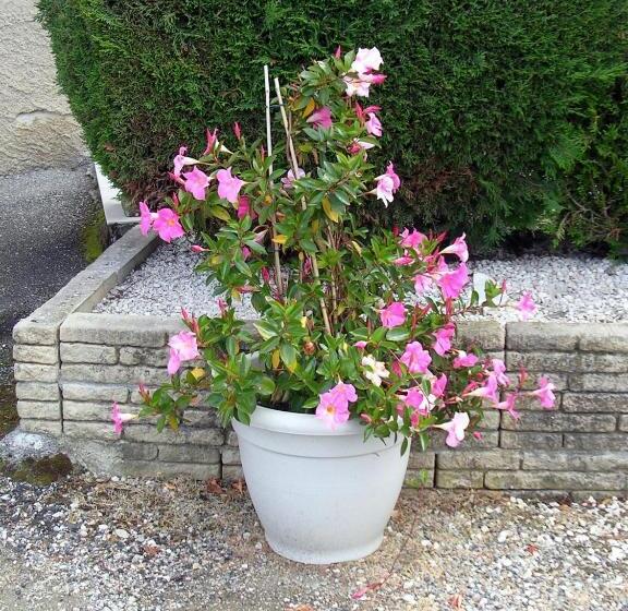 مبيت وإفطار Chambre D Hôtes Tardy