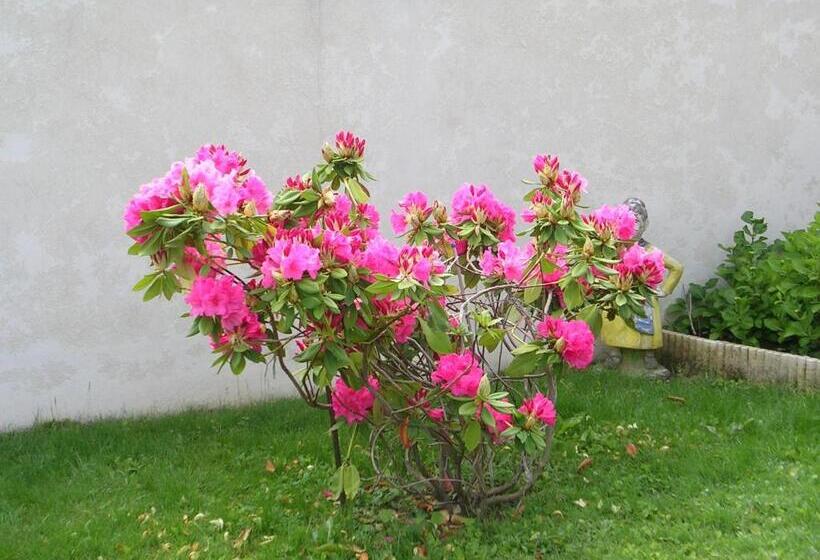 مبيت وإفطار Chambre D Hôtes Tardy