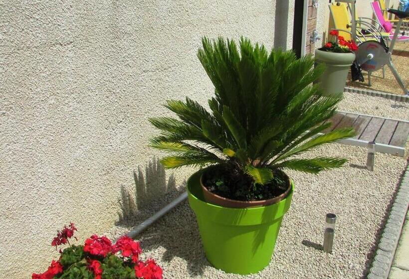 مبيت وإفطار Chambre D Hôtes Tardy