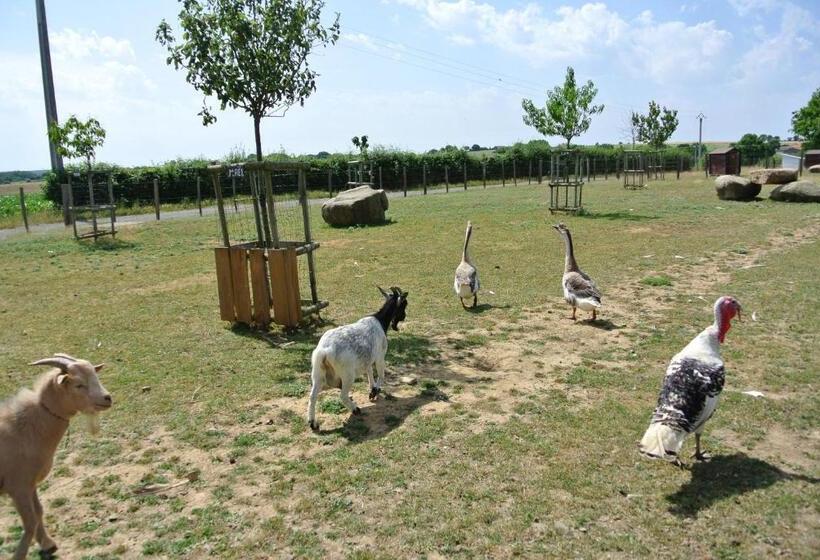 تختخواب و صبحانه Chez Michel Et Josette