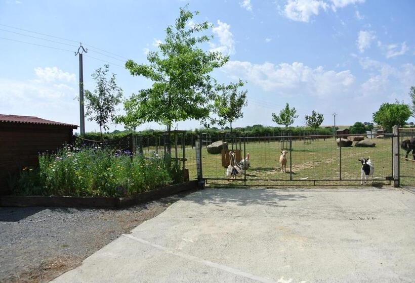 تختخواب و صبحانه Chez Michel Et Josette