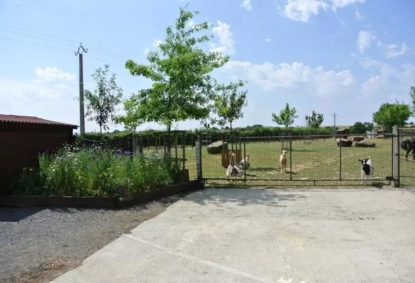 ベッドアンドブレックファースト Chez Michel Et Josette