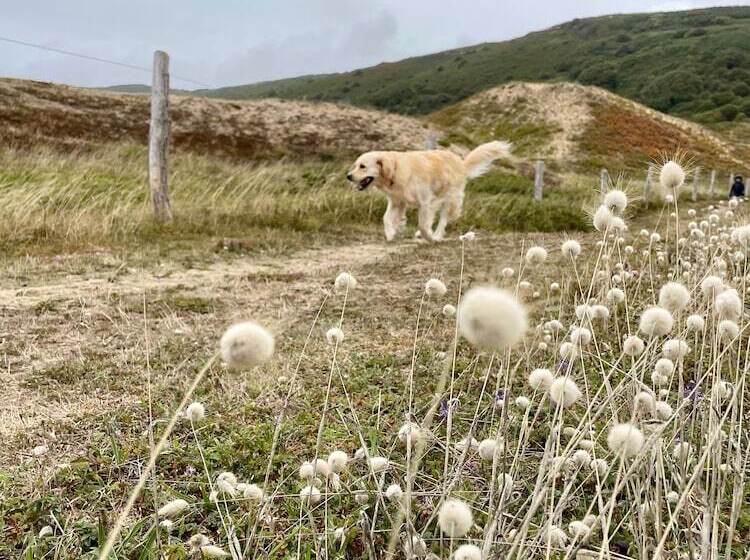 ベッドアンドブレックファースト Fleur & Mer