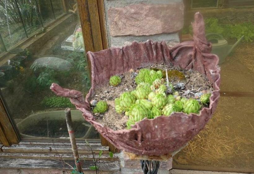 ベッドアンドブレックファースト Le Jardin Des Secrets