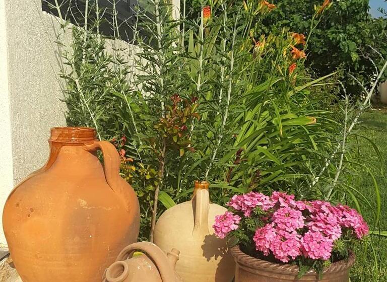 مبيت وإفطار Philoxenia