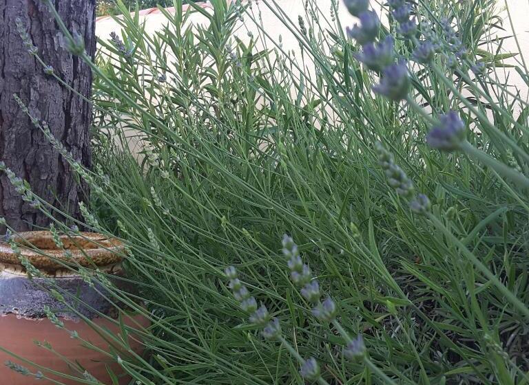 مبيت وإفطار Philoxenia