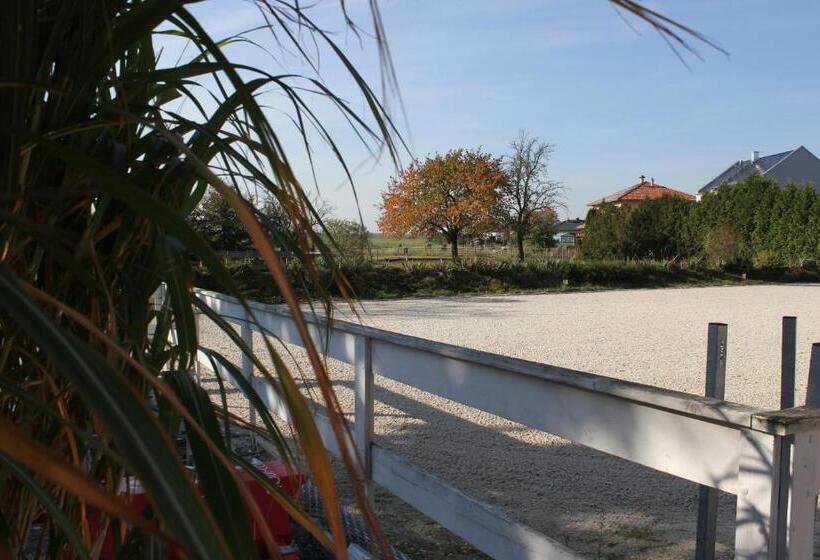 Отель Gut Fischer