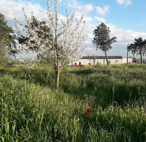 ホテル Masseria Agriturismo Moschella