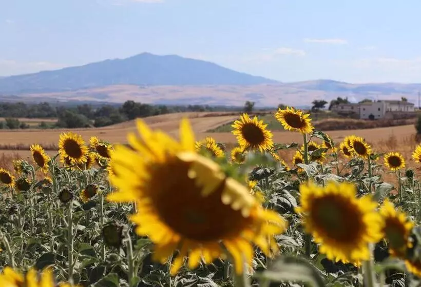 ホテル Masseria Agriturismo Moschella