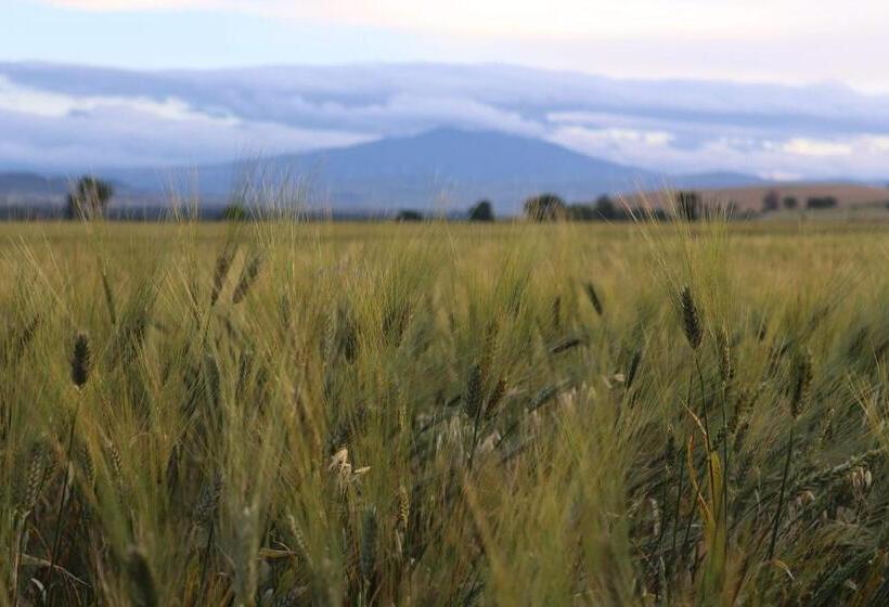 호텔 Masseria Agriturismo Moschella