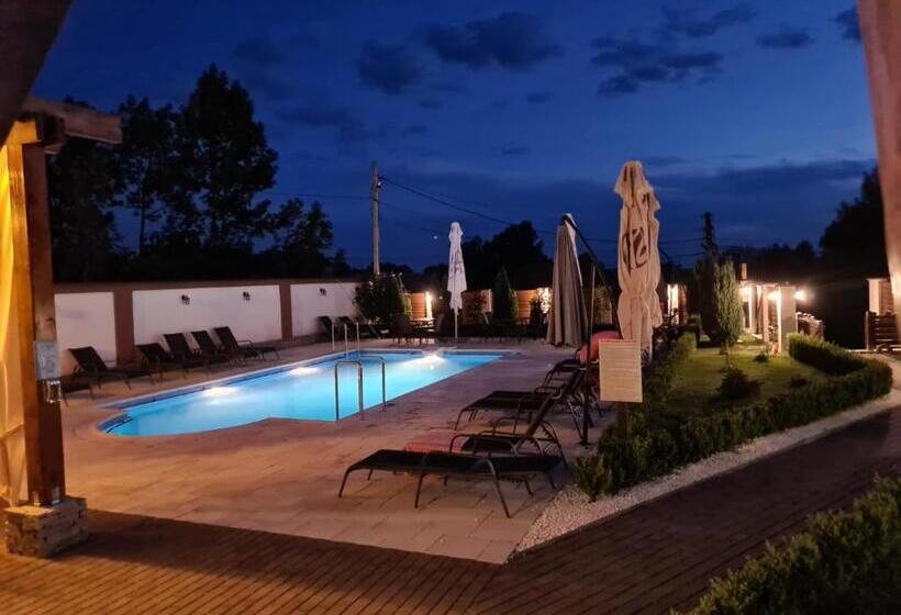 Hotel Pensiunea Medaless