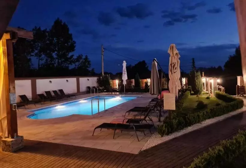 Hotelli Pensiunea Medaless