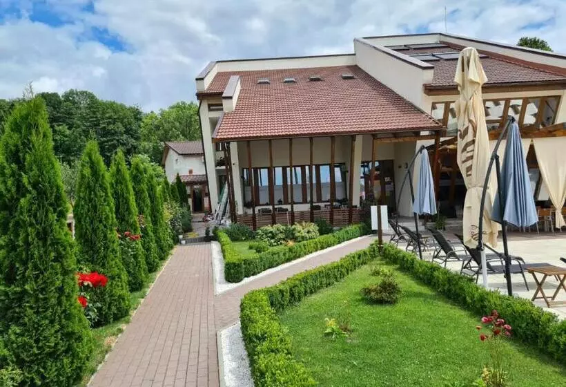 Hotelli Pensiunea Medaless