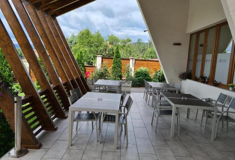 Hotel Pensiunea Medaless