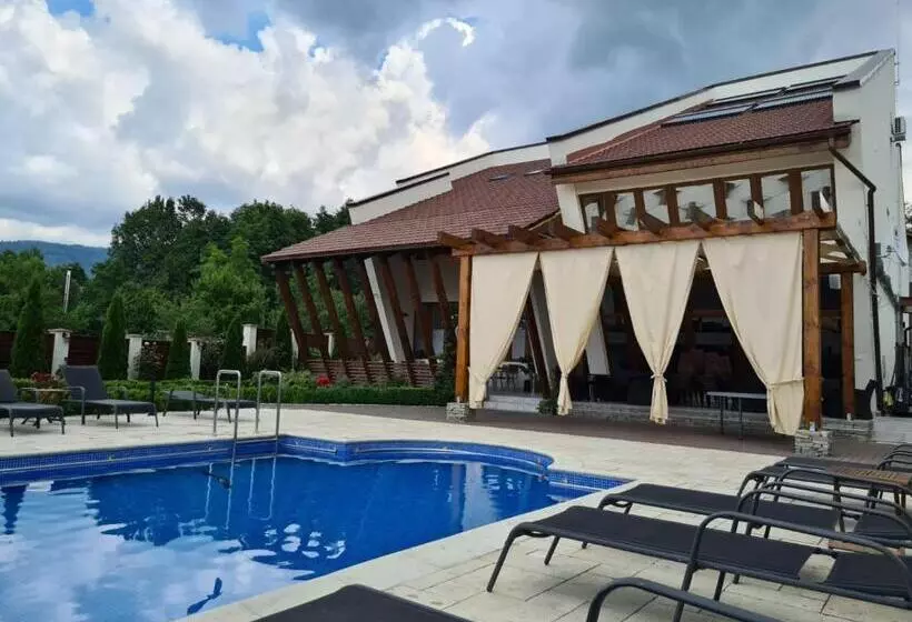 Hotelli Pensiunea Medaless