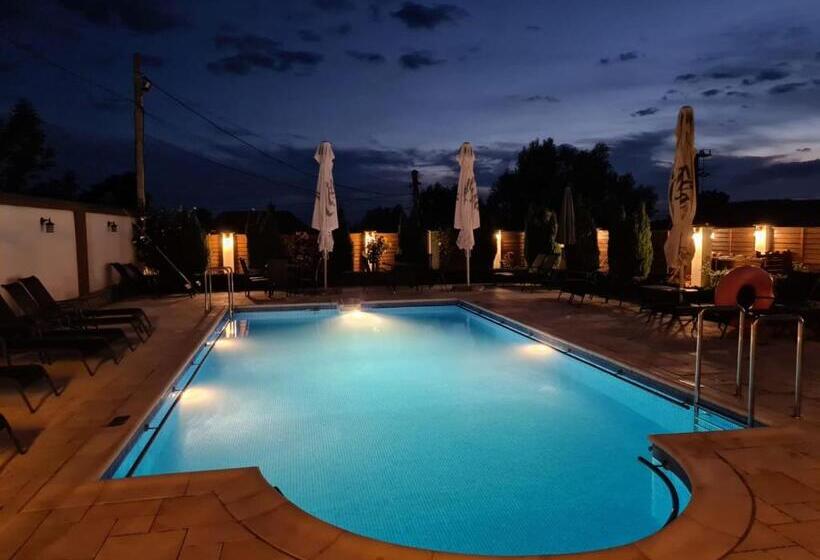 Hotel Pensiunea Medaless