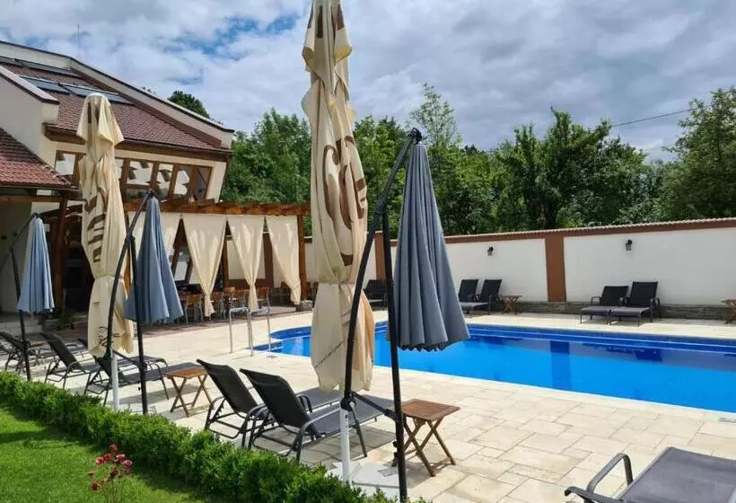 Hotelli Pensiunea Medaless