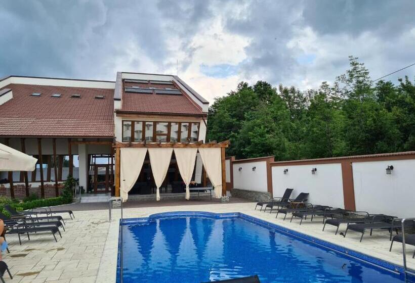 Hotel Pensiunea Medaless