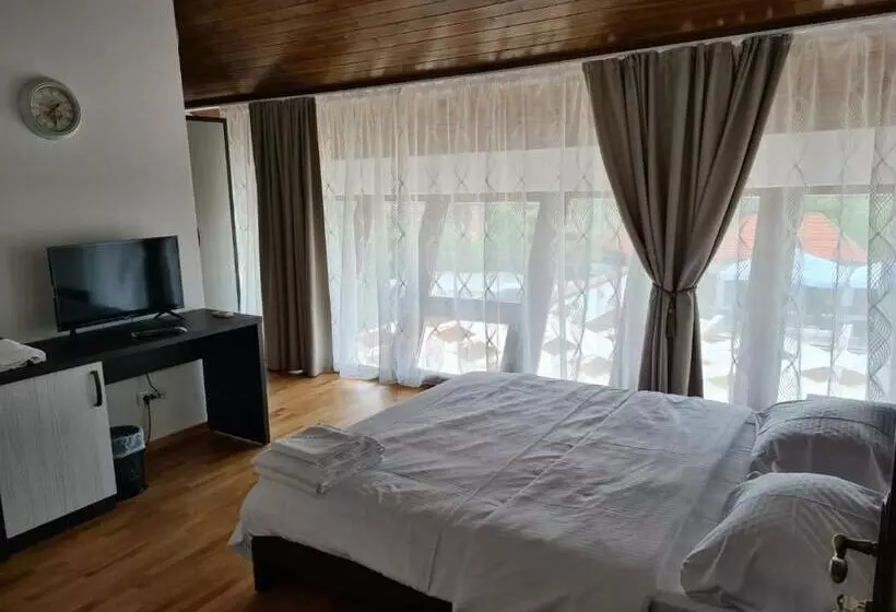 Hotelli Pensiunea Medaless