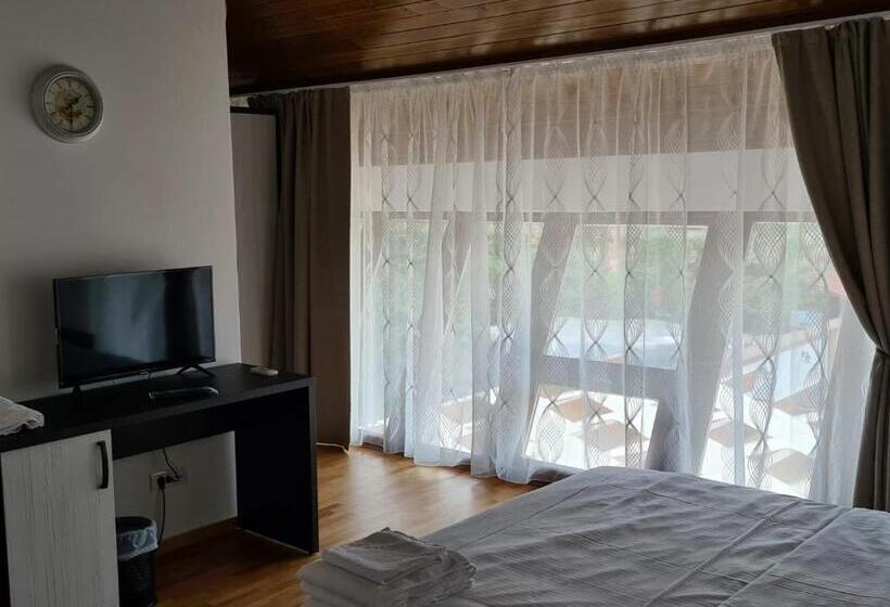 Hotel Pensiunea Medaless